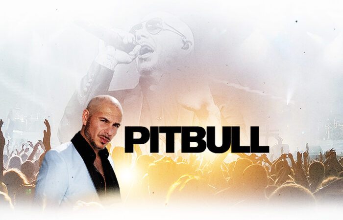 pitbull albuquerque