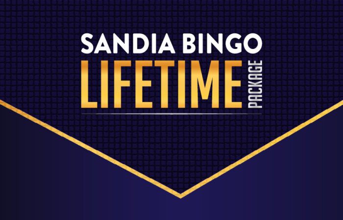 Bingo Lifetime package
