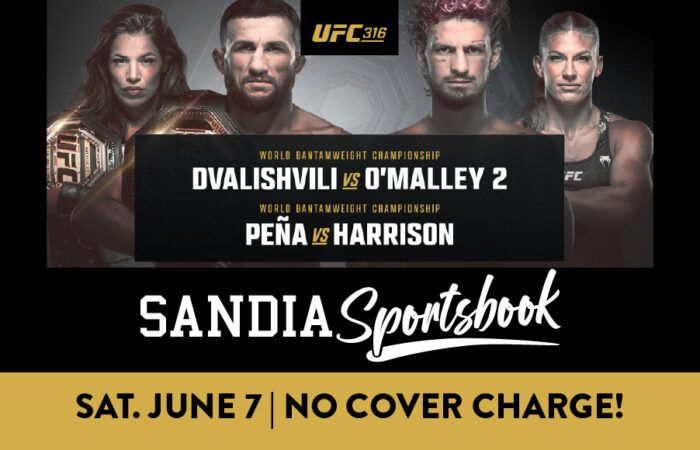 ufc 316