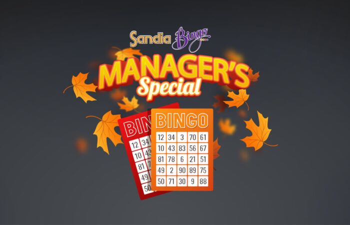 bingo managers special