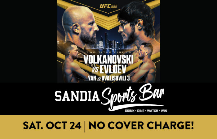 ufc 333